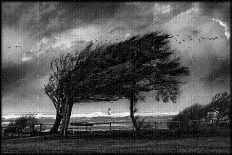 f2t_vkAAHI6nEbBRSG7RA1iqvXo