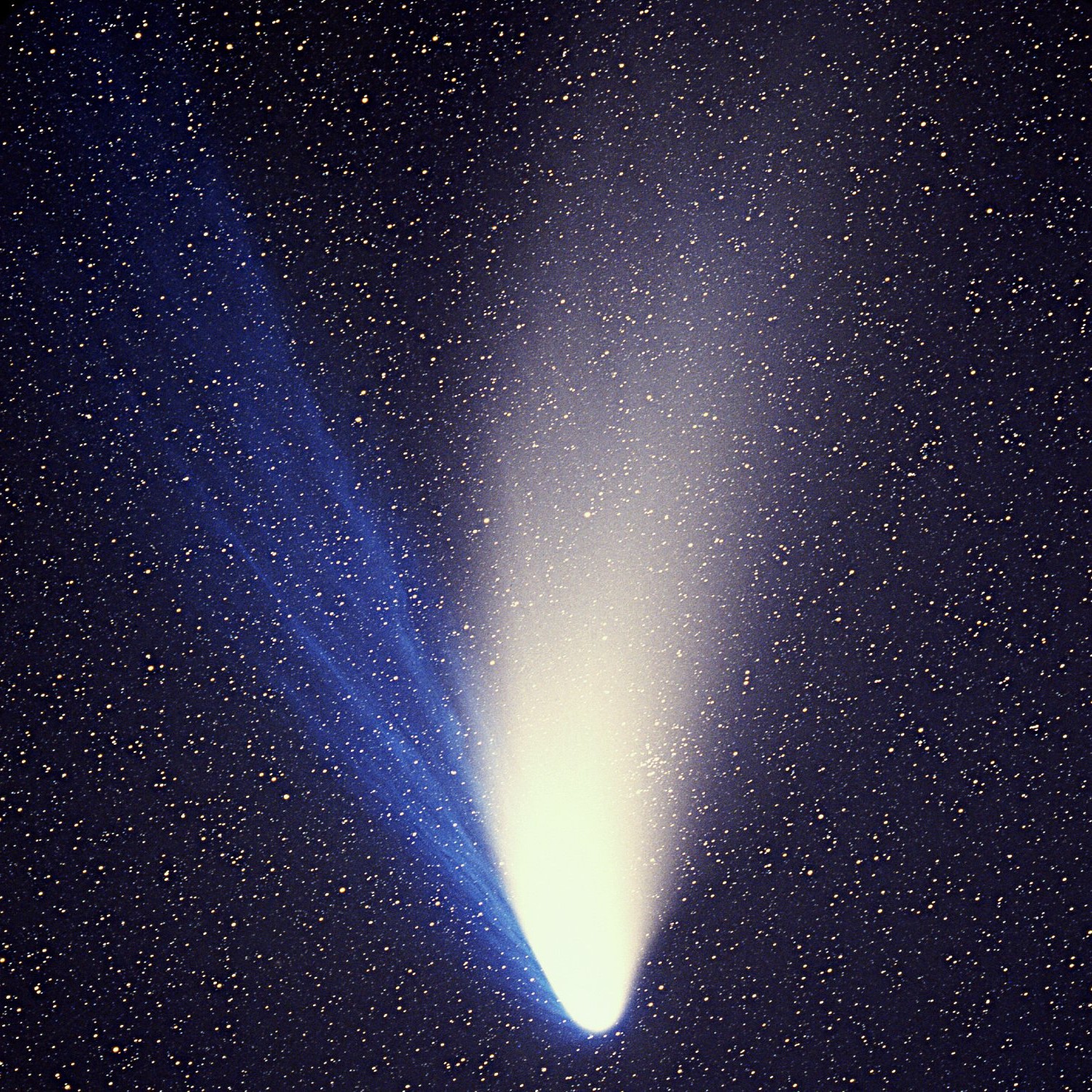 Comet_Hale-Bopp_1995O1 (1)-5a53.jpeg