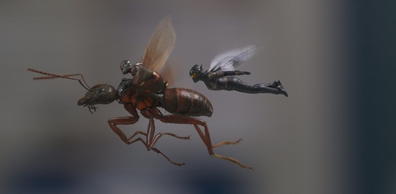 Ant-Man-et-la-Guêpe-e1530473865333-906x445.jpg