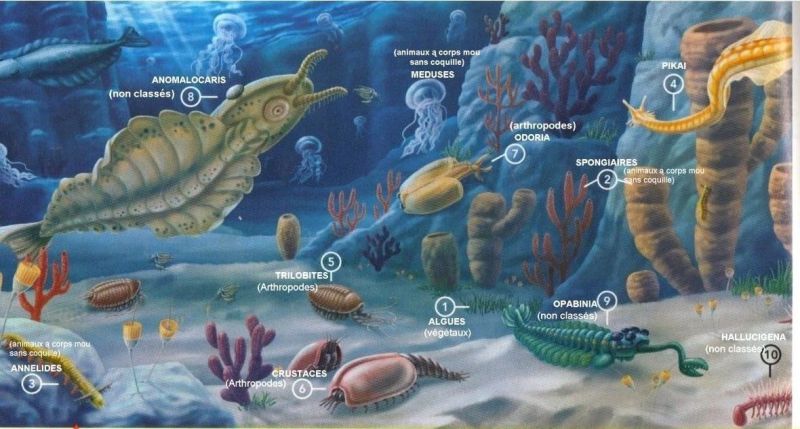 4e24527665e3aacca0cf4168ddcf9d4e