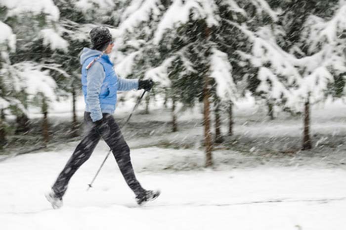Nordic walking at winter time