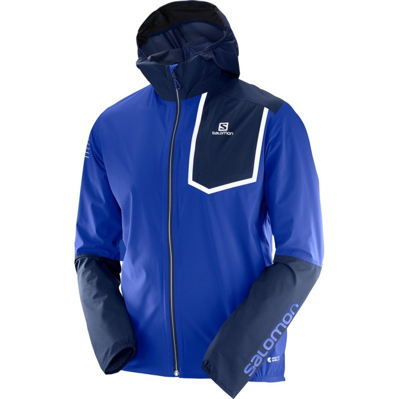 SAL-393808_7ESurf_20The_20Web_6edf013a-2572-4fcc-a3e6-573c106b5a05_1024x1024