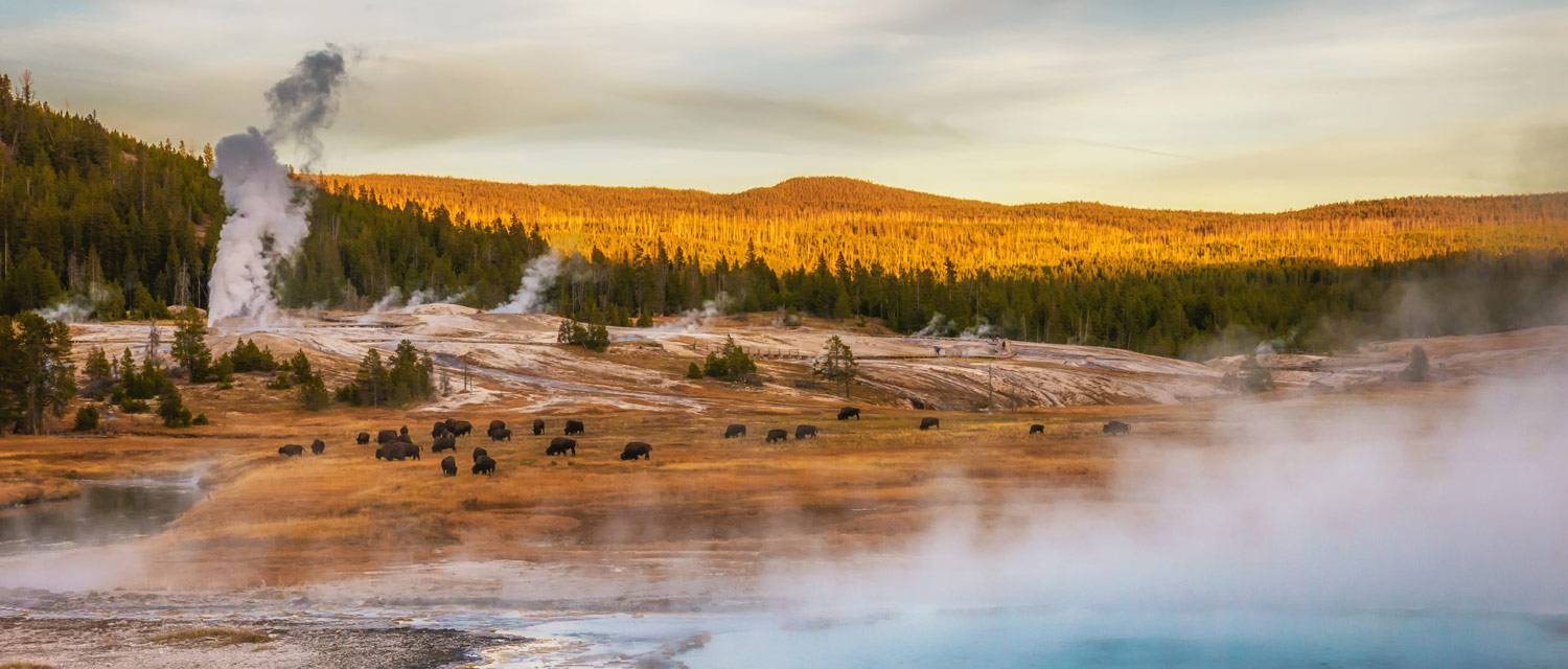 yellowstonevacations-home-fall-geyser-basin-desktop