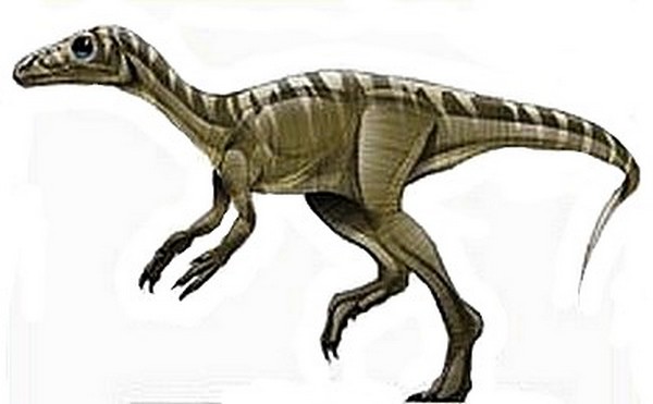 eoraptor