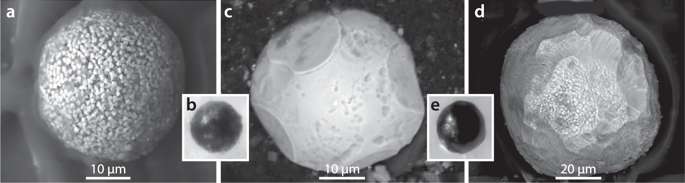 41598_2018_38089_Fig11_HTML