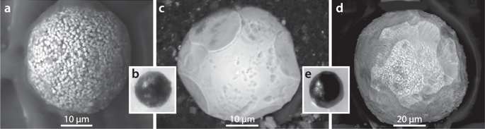 41598_2018_38089_Fig11_HTML