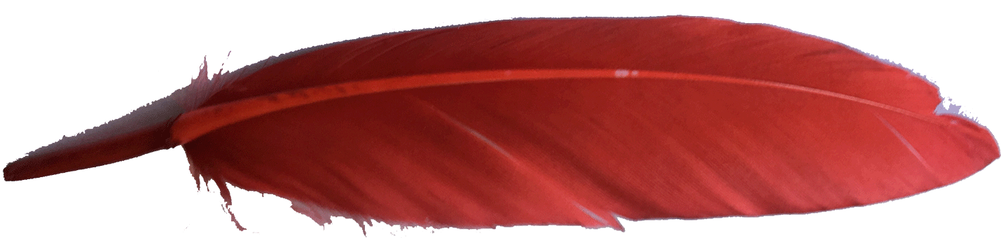 Plume-rouge