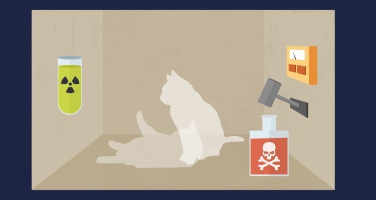 chat-schrodinger-bandeau-750x400