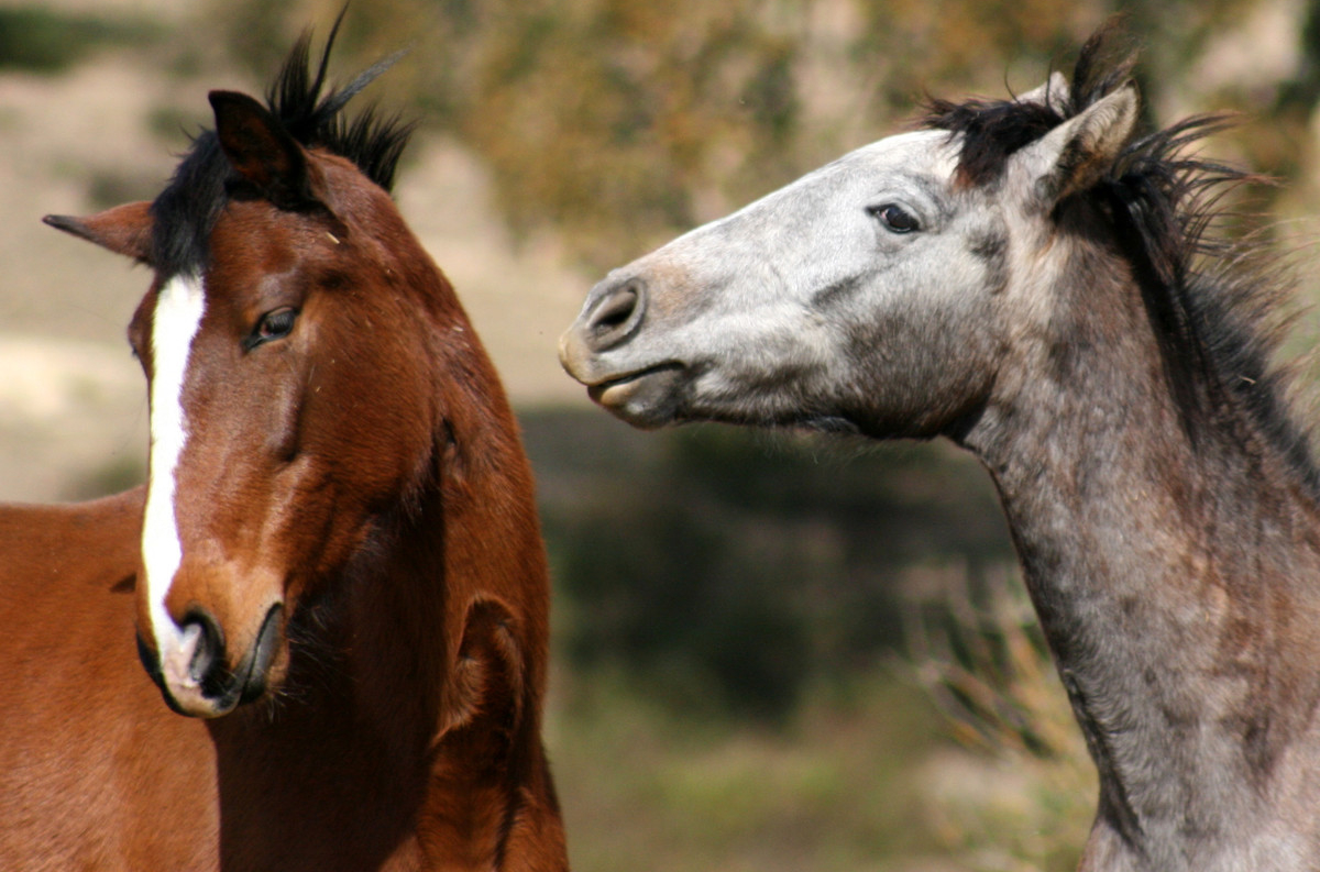 Le troisième accord&nbsp;toltèque