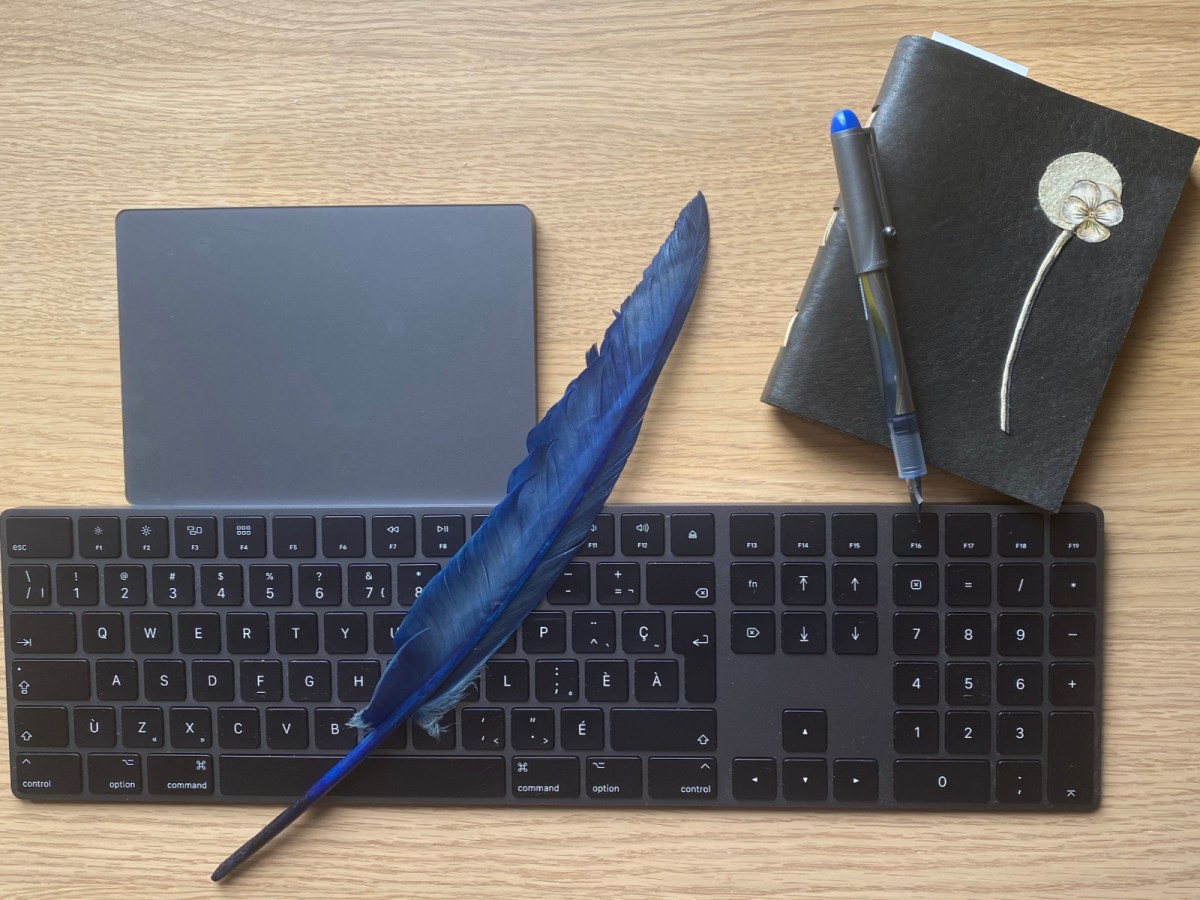 Un mot français à la&nbsp;fois