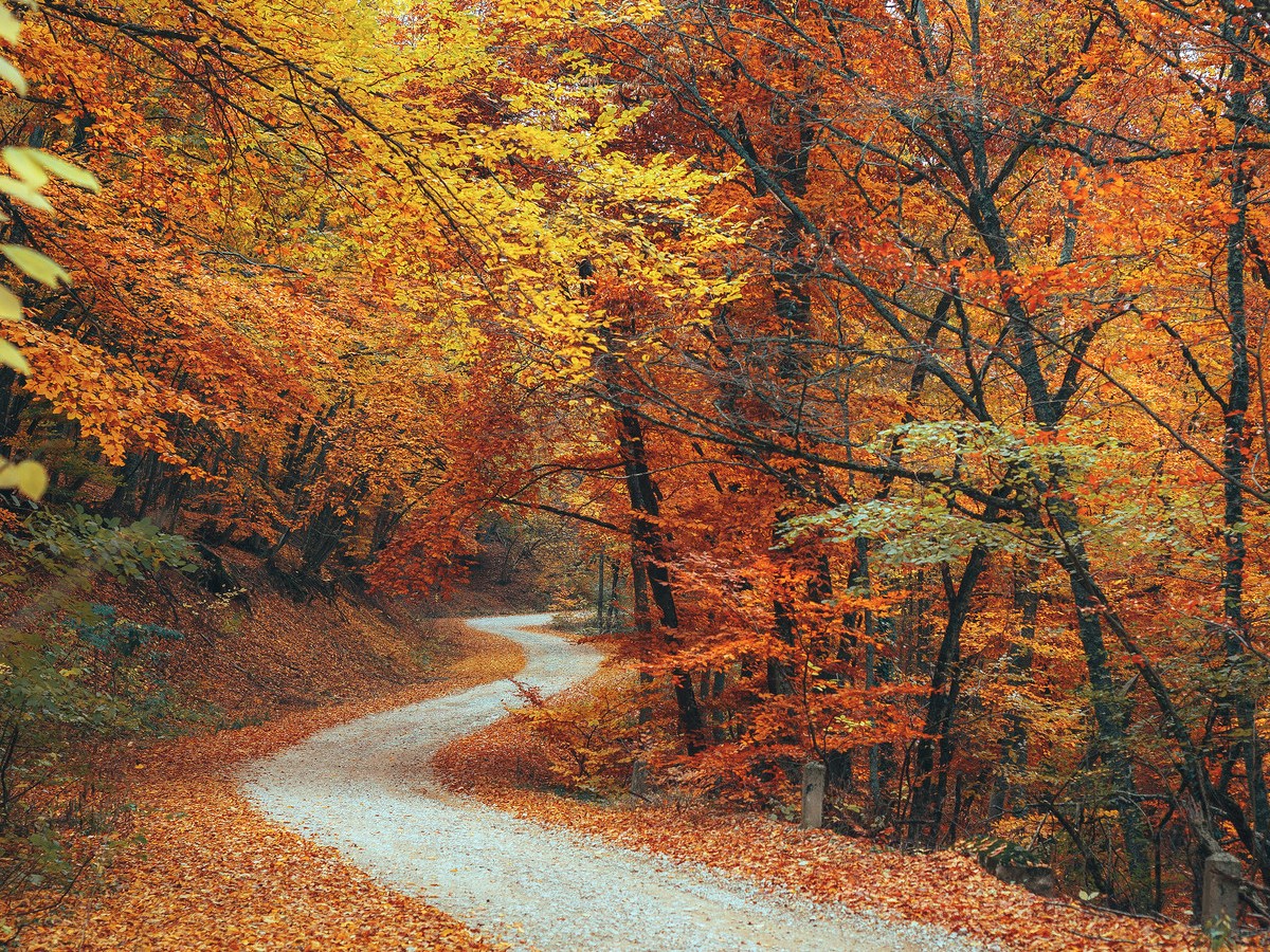 Origines oubliées de 5 mots (A à&nbsp;E)