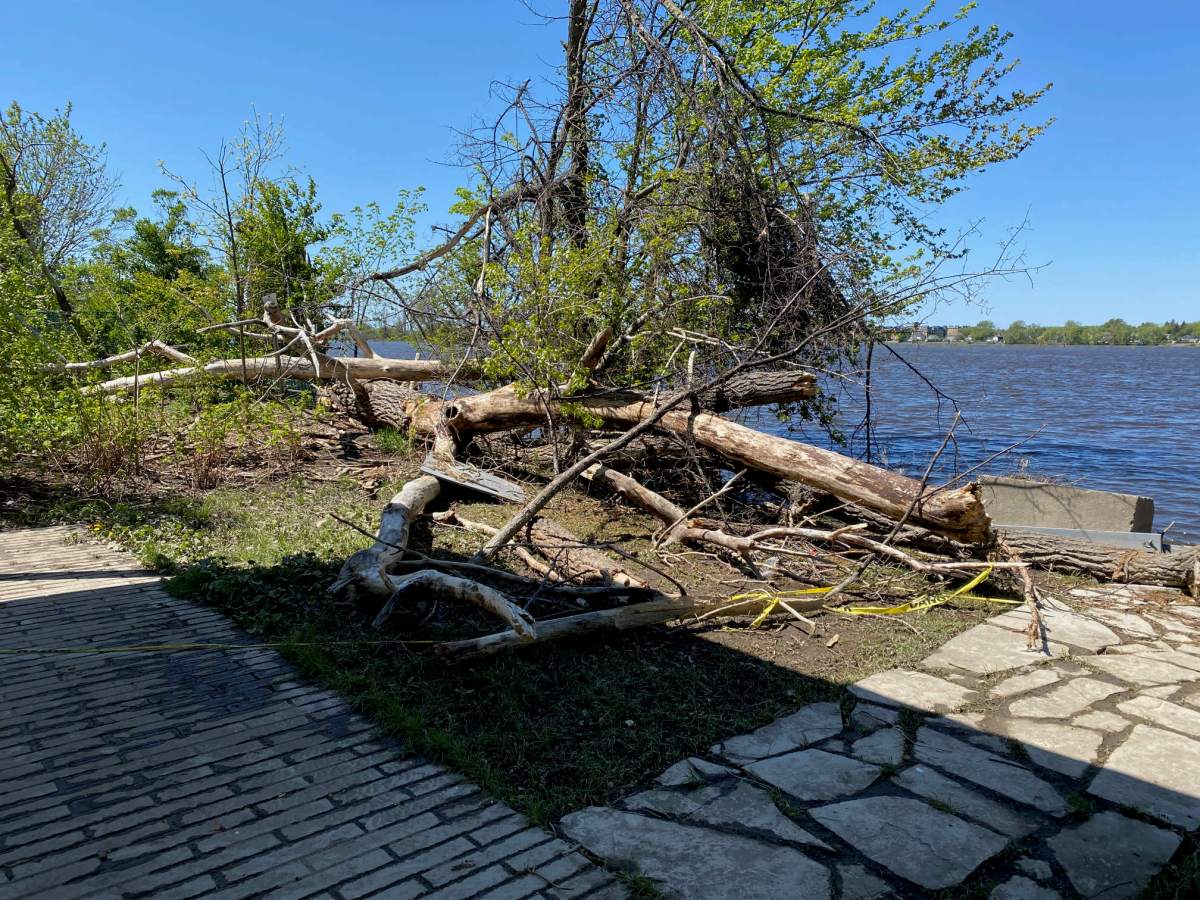 Je t’ai crue en&nbsp;crue