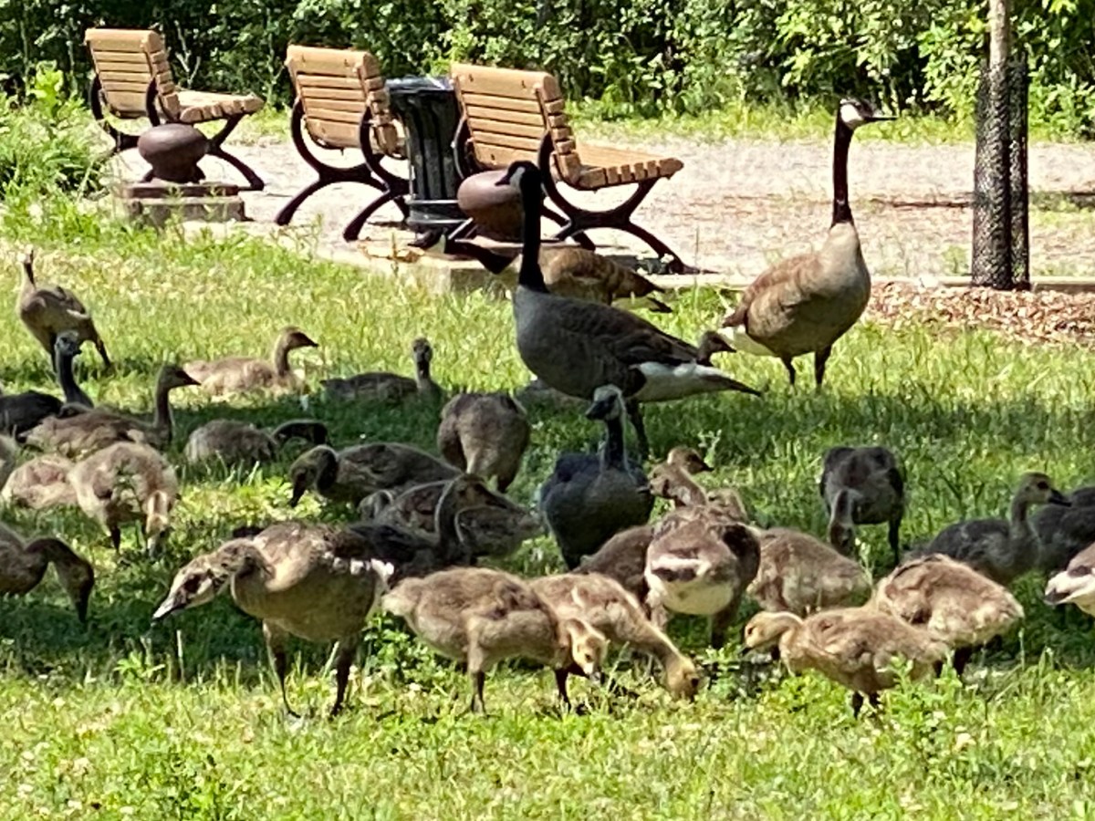 L&rsquo;espoir d&rsquo;un monde&nbsp;meilleur