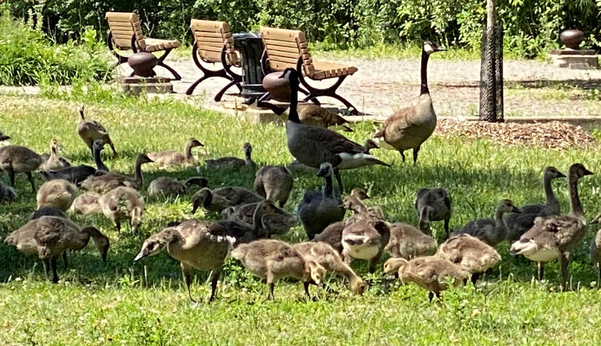 L&rsquo;espoir d&rsquo;un monde&nbsp;meilleur