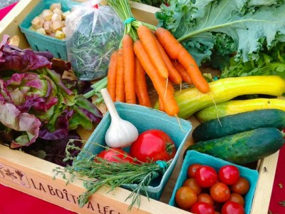 Maigrir durablement – 8 –&nbsp;Tricher