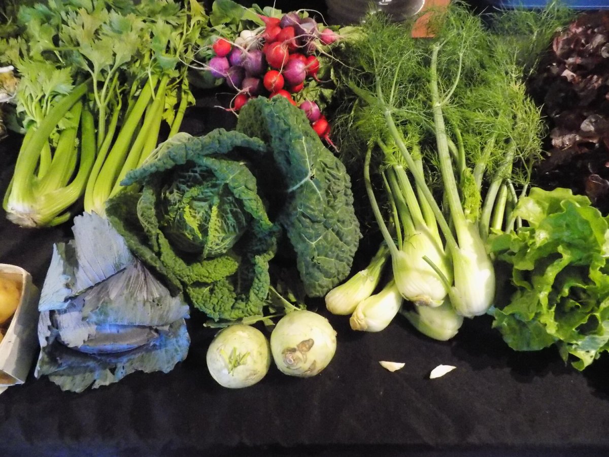 Maigrir durablement – 14 – Les&nbsp;oscillations